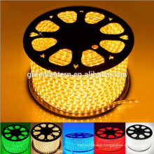 110V Flexible Waterproof LED Strip Light 5050 RGB Led Strip with 110V power plug 24key remote control